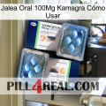 Jalea Oral 100Mg Kamagra Cómo Usar viagra5